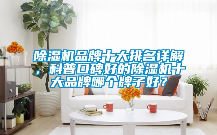 除濕機品牌十大排名詳解，科普口碑好的除濕機十大品牌哪個牌子好？