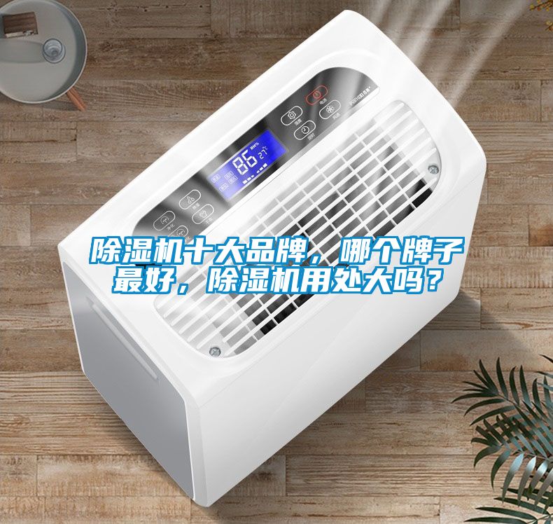 除濕機十大品牌，哪個牌子最好，除濕機用處大嗎？