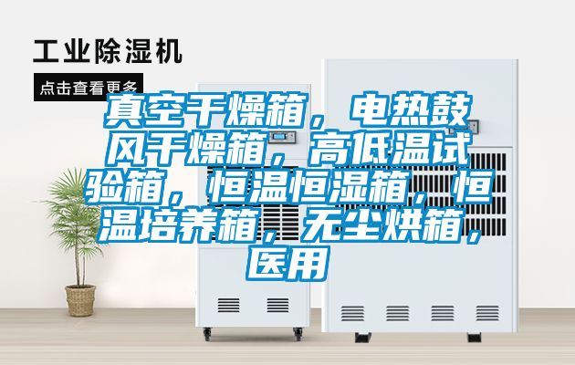 真空干燥箱，電熱鼓風干燥箱，高低溫試驗箱，恒溫恒濕箱，恒溫培養(yǎng)箱，無塵烘箱，醫(yī)用