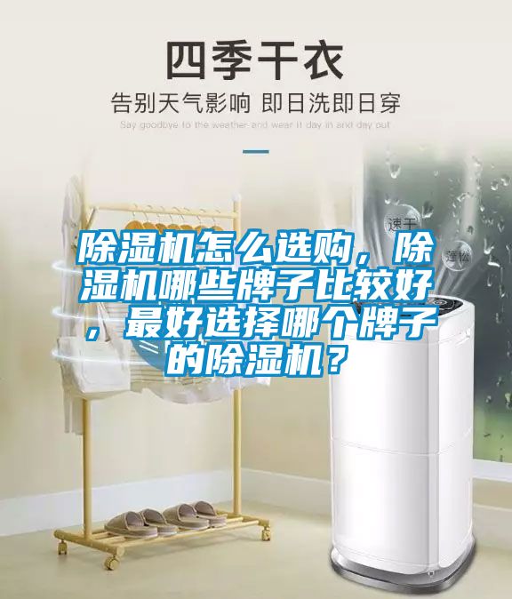 除濕機怎么選購，除濕機哪些牌子比較好，最好選擇哪個牌子的除濕機？