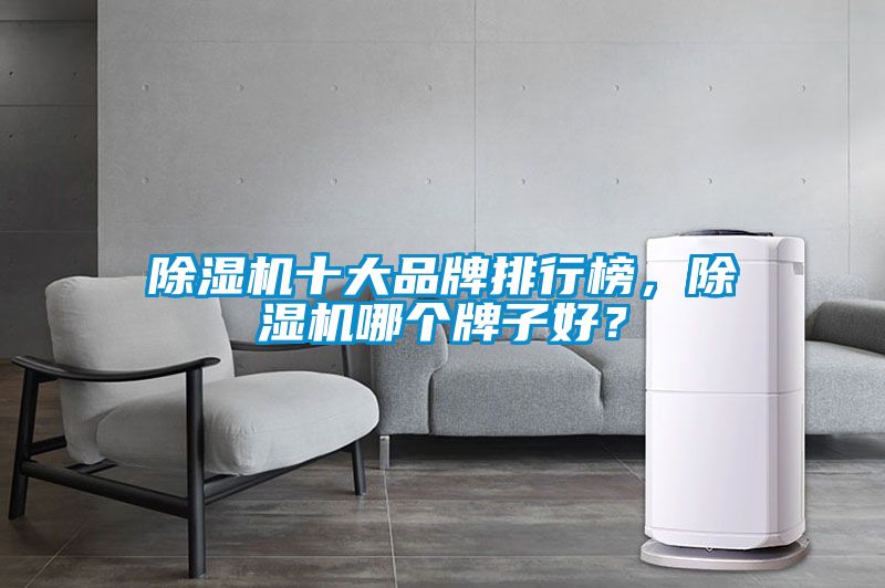 除濕機十大品牌排行榜，除濕機哪個牌子好？