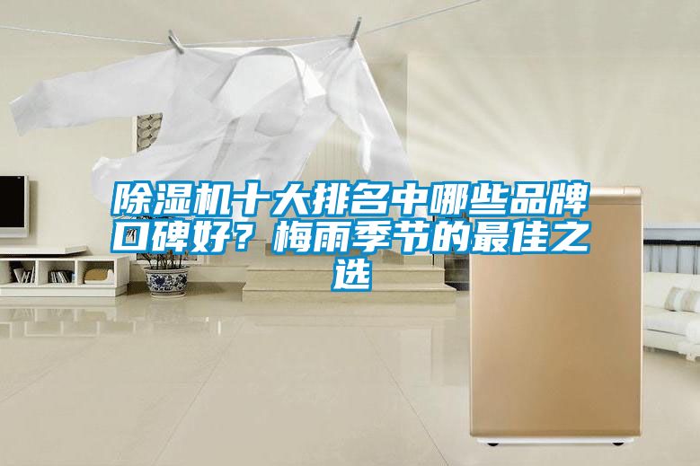 除濕機十大排名中哪些品牌口碑好？梅雨季節的最佳之選