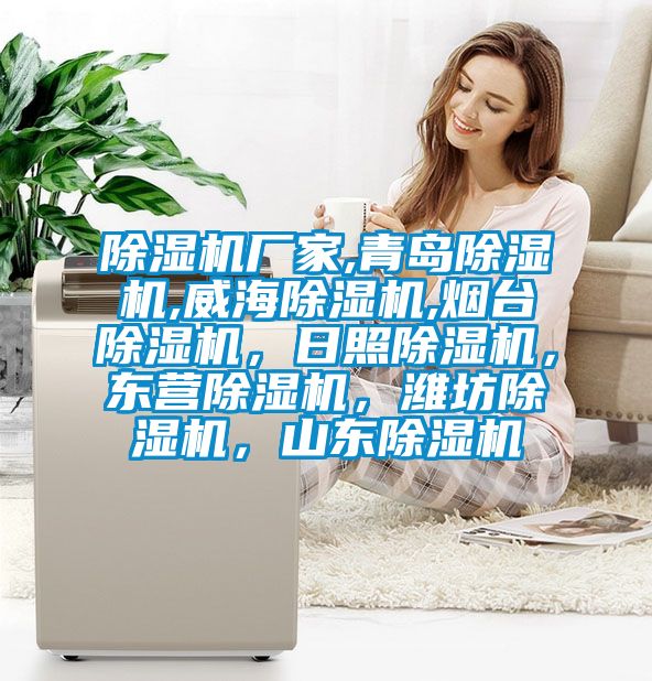 除濕機(jī)廠家,青島除濕機(jī),威海除濕機(jī),煙臺(tái)除濕機(jī)，日照除濕機(jī)，東營(yíng)除濕機(jī)，濰坊除濕機(jī)，山東除濕機(jī)