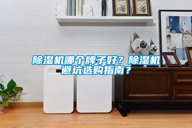 除濕機(jī)哪個(gè)牌子好？除濕機(jī)避坑選購指南？