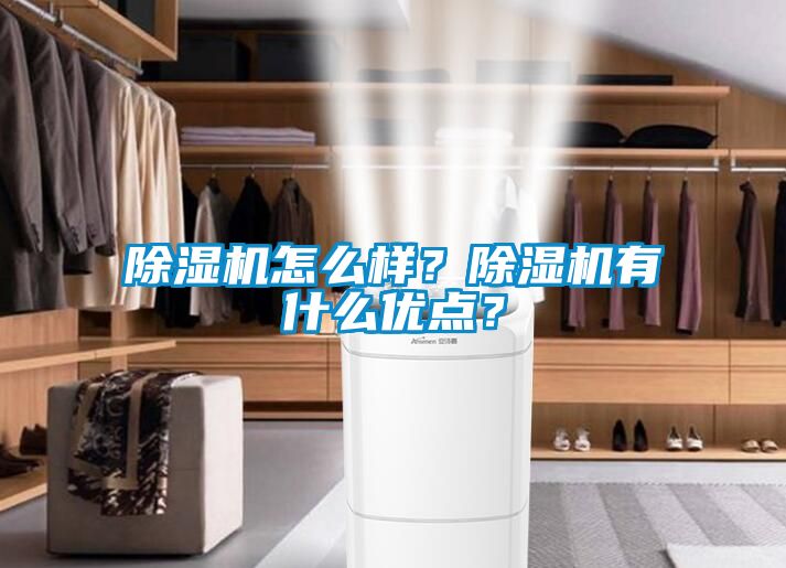 除濕機怎么樣？除濕機有什么優(yōu)點？