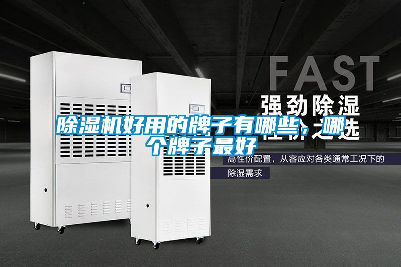 除濕機好用的牌子有哪些，哪個牌子最好