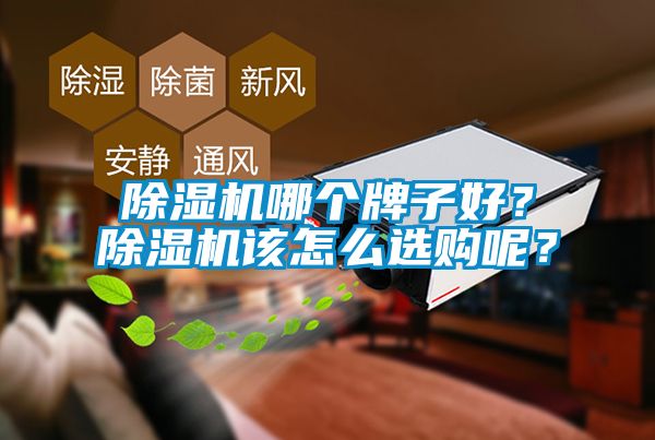 除濕機(jī)哪個(gè)牌子好？除濕機(jī)該怎么選購呢？