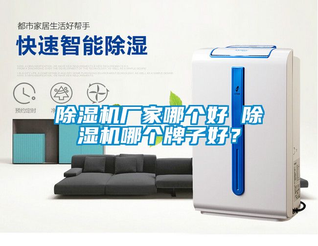除濕機(jī)廠(chǎng)家哪個(gè)好 除濕機(jī)哪個(gè)牌子好？