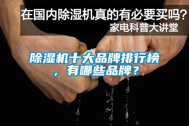 除濕機十大品牌排行榜，有哪些品牌？