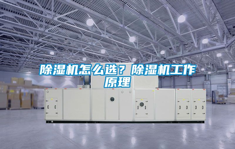 除濕機怎么選？除濕機工作原理