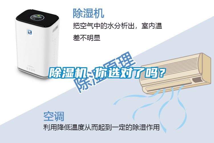 除濕機 你選對了嗎？