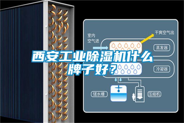 西安工業(yè)除濕機(jī)什么牌子好？