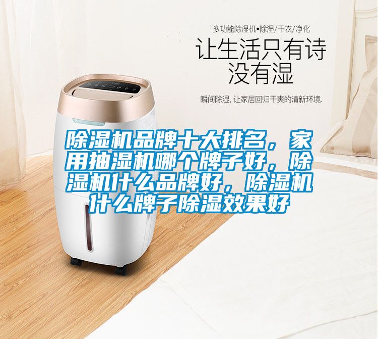除濕機品牌十大排名，家用抽濕機哪個牌子好，除濕機什么品牌好，除濕機什么牌子除濕效果好