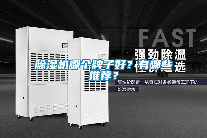 除濕機哪個牌子好？有哪些推薦？