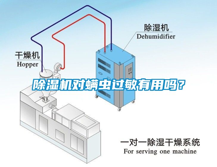 除濕機(jī)對(duì)螨蟲過(guò)敏有用嗎?