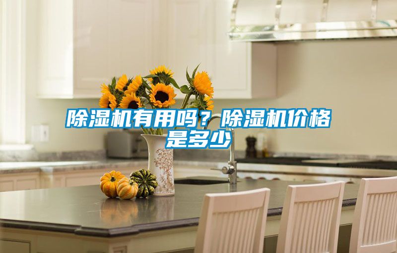 除濕機有用嗎？除濕機價格是多少