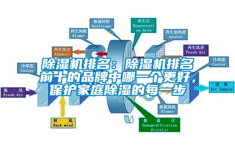 除濕機(jī)排名：除濕機(jī)排名前十的品牌中哪一個(gè)更好，保護(hù)家庭除濕的每一步