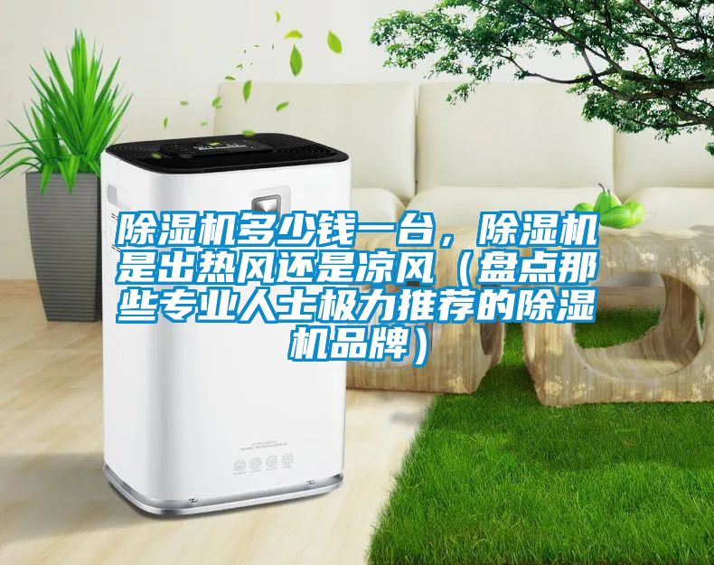 除濕機(jī)多少錢一臺(tái)，除濕機(jī)是出熱風(fēng)還是涼風(fēng)（盤點(diǎn)那些專業(yè)人士極力推薦的除濕機(jī)品牌）