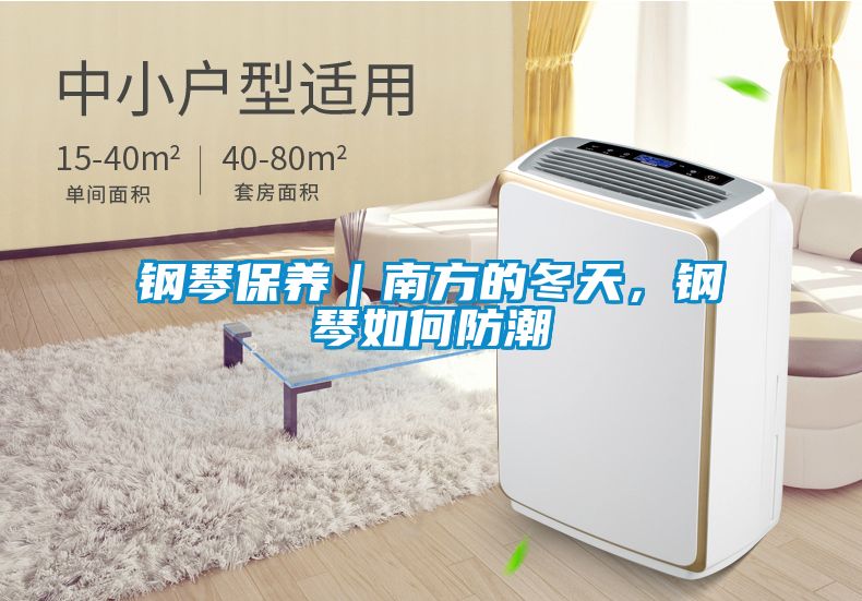 鋼琴保養｜南方的冬天，鋼琴如何防潮