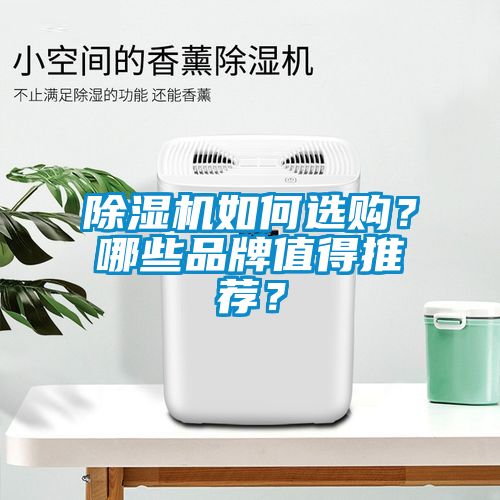 除濕機(jī)如何選購？哪些品牌值得推薦？