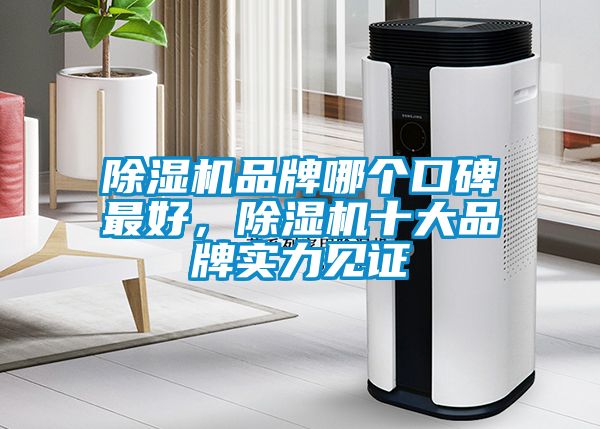 除濕機品牌哪個口碑最好，除濕機十大品牌實力見證