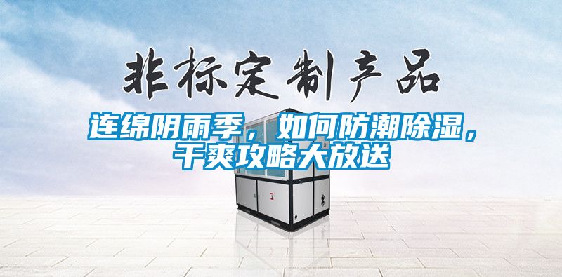連綿陰雨季，如何防潮除濕，干爽攻略大放送