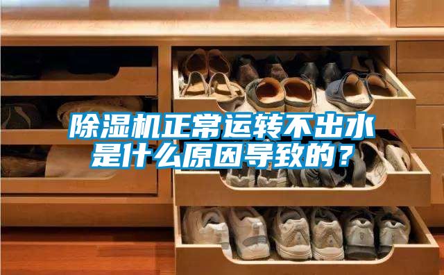 除濕機正常運轉不出水是什么原因導致的？