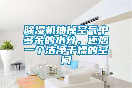 除濕機(jī)抽掉空氣中多余的水分，還您一個(gè)潔凈干燥的空間