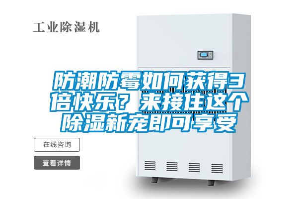 防潮防霉如何獲得3倍快樂？來接住這個除濕新寵即可享受