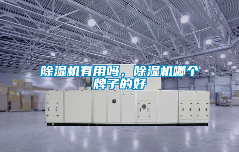 除濕機有用嗎，除濕機哪個牌子的好