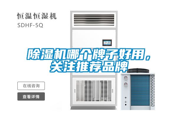 除濕機哪個牌子好用，關注推薦品牌