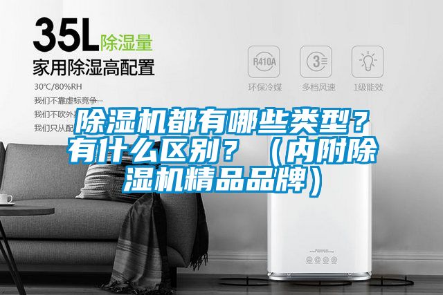 除濕機都有哪些類型？有什么區(qū)別？（內(nèi)附除濕機精品品牌）
