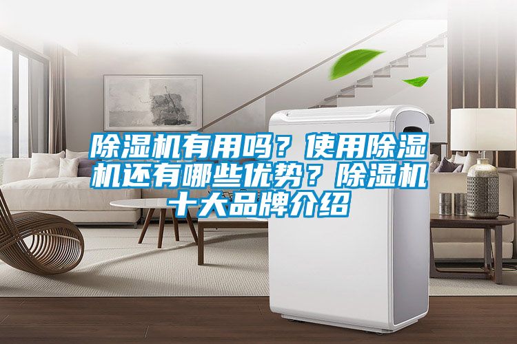 除濕機有用嗎？使用除濕機還有哪些優勢？除濕機十大品牌介紹