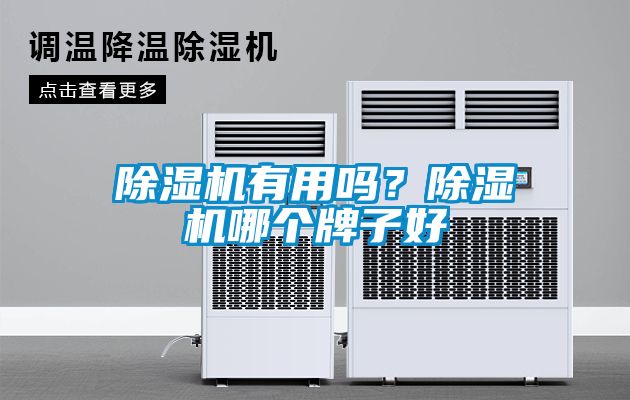 除濕機有用嗎？除濕機哪個牌子好