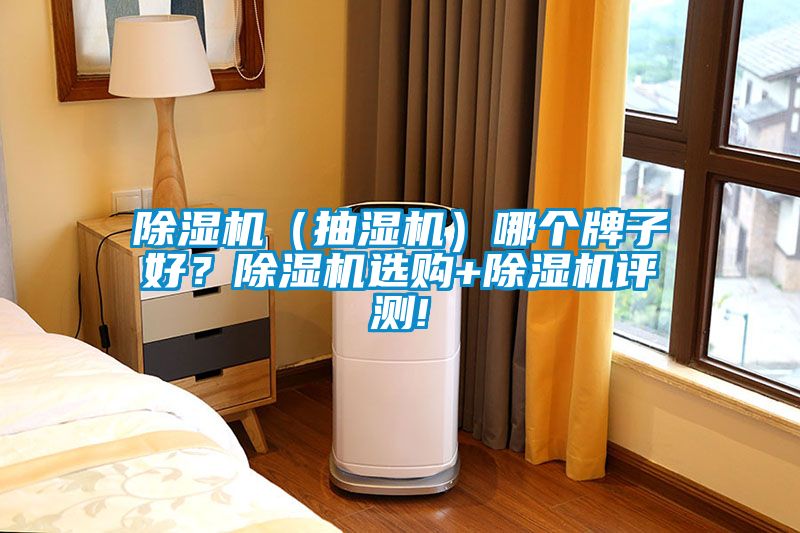除濕機(jī)（抽濕機(jī)）哪個(gè)牌子好？除濕機(jī)選購+除濕機(jī)評(píng)測!