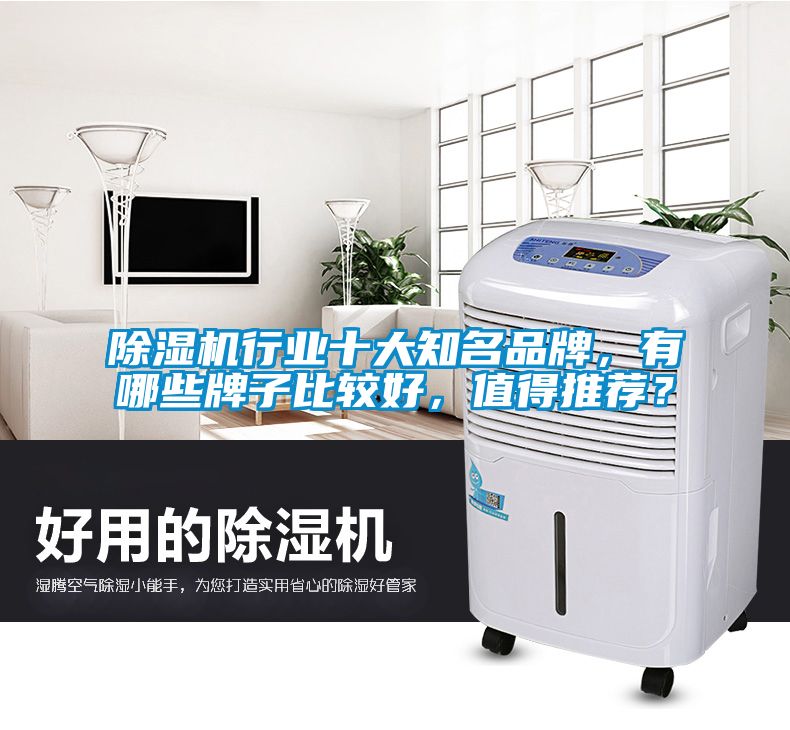 除濕機行業十大知名品牌，有哪些牌子比較好，值得推薦？