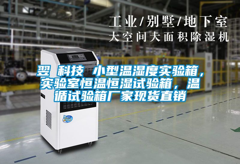 翌昇科技 小型溫濕度實(shí)驗(yàn)箱，實(shí)驗(yàn)室恒溫恒濕試驗(yàn)箱，溫循試驗(yàn)箱廠家現(xiàn)貨直銷