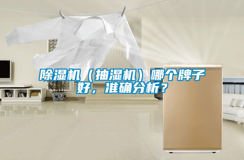 除濕機(jī)（抽濕機(jī)）哪個(gè)牌子好，準(zhǔn)確分析？