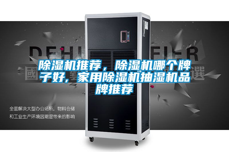 除濕機(jī)推薦，除濕機(jī)哪個(gè)牌子好, 家用除濕機(jī)抽濕機(jī)品牌推薦