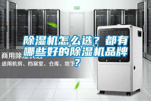 除濕機(jī)怎么選？都有哪些好的除濕機(jī)品牌？