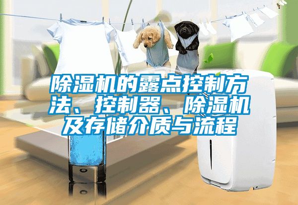 除濕機的露點控制方法、控制器、除濕機及存儲介質與流程