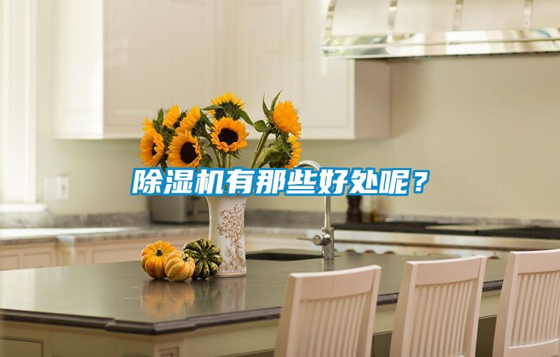 除濕機有那些好處呢？