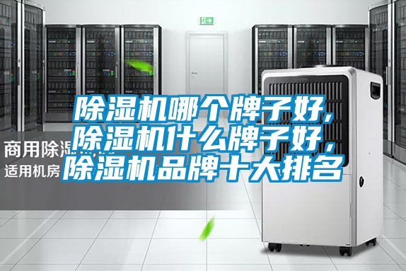除濕機哪個牌子好,除濕機什么牌子好，除濕機品牌十大排名