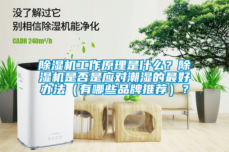 除濕機(jī)工作原理是什么？除濕機(jī)是否是應(yīng)對(duì)潮濕的最好辦法（有哪些品牌推薦）？