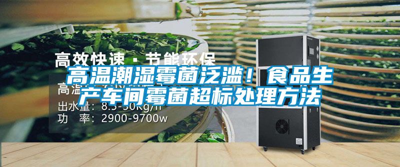 高溫潮濕霉菌泛濫！食品生產車間霉菌超標處理方法