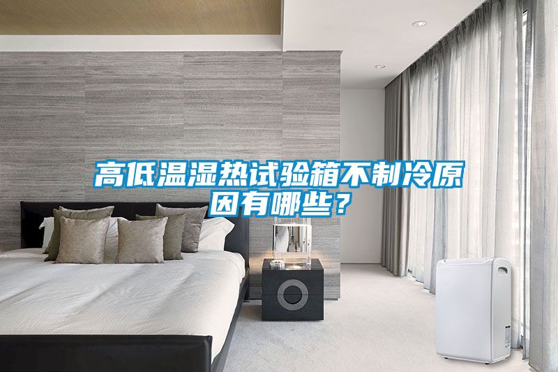 高低溫濕熱試驗箱不制冷原因有哪些？