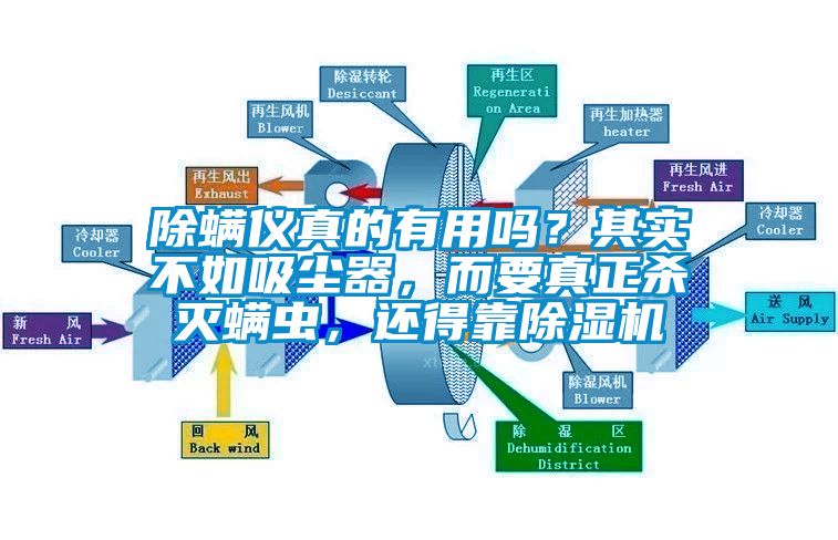 除螨儀真的有用嗎？其實不如吸塵器，而要真正殺滅螨蟲，還得靠除濕機