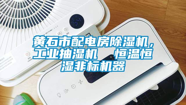黃石市配電房除濕機，工業(yè)抽濕機  恒溫恒濕非標機器